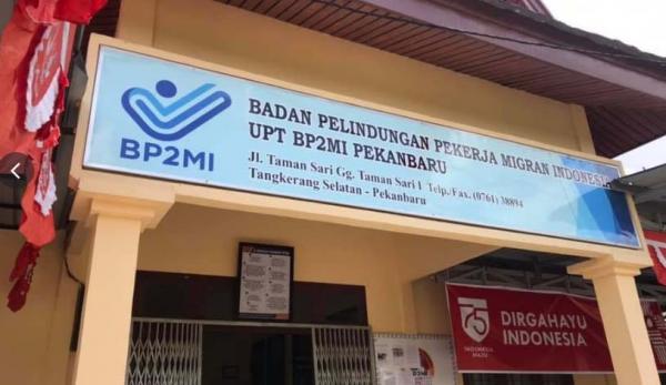 Pegawai BP2MI Riau Terlibat Jaringan Narkoba 4 Kg Sabu, Terdeteksi Dua Pekan Bolos Kerja