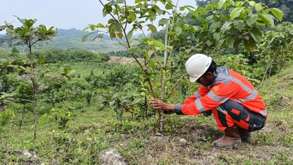 Solusi Bangun Indonesia Dorong Pemulihan Sumber Daya Alam Untuk Masa Depan