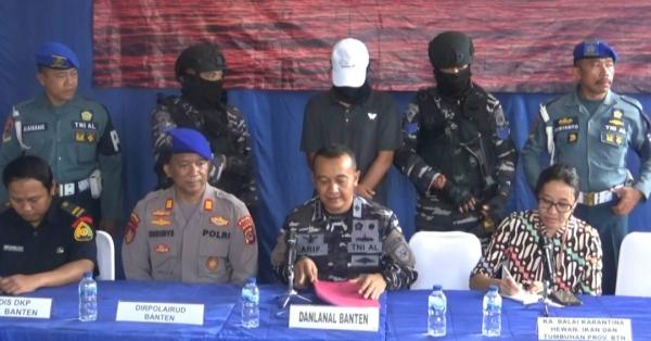 Lanal Banten Tangkap Pelaku Penyelundupan Benih Lobster Ilegal Senilai Rp7 Miliar