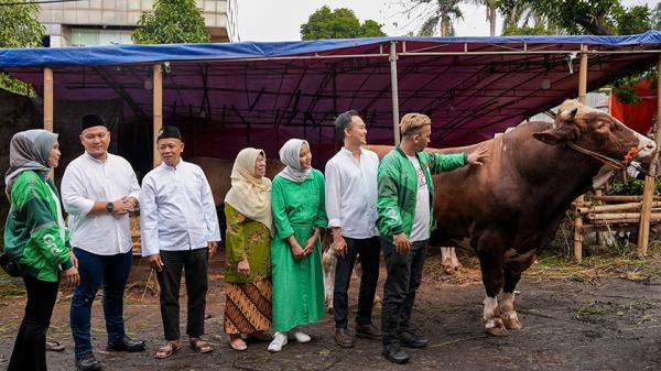 Idul Adha 1445 H, Grab Indonesia dan OVO Sumbang 4 Sapi Limosin dan Puluhan Kambing
