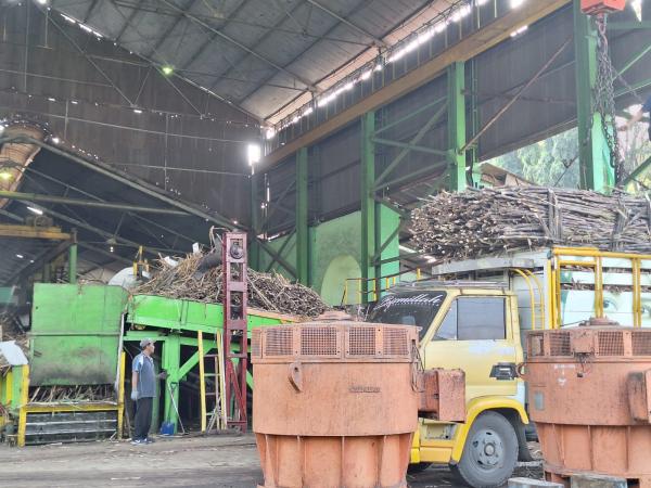 Sejarah Singkat Pabrik Gula di Probolinggo yang Beroperasi Hingga Sekarang