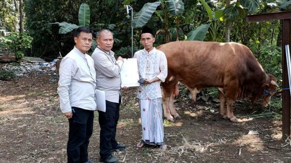 Ponpes di  Boyolali terima Bantuan Sapi  Kurban dari Presiden Joko Widodo