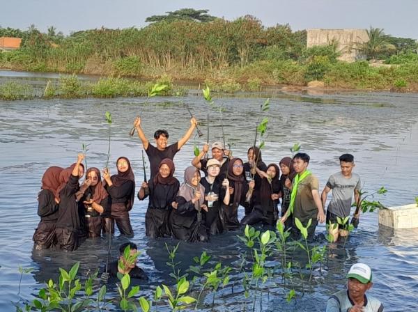 Melawan Perubahan Iklim Teratai Institute Hadirkan Gerakan Menanam 1000 Mangrove