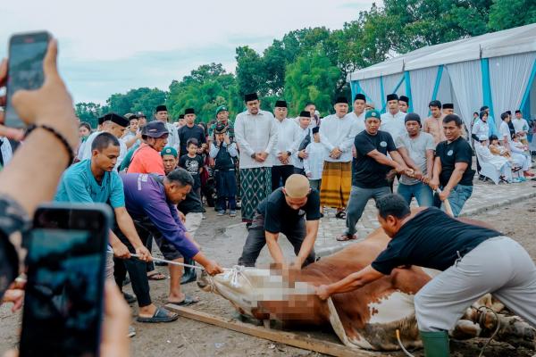 Bobby Nasution: 9.716 Ekor Hewan Kurban Disembelih di Kota Medan
