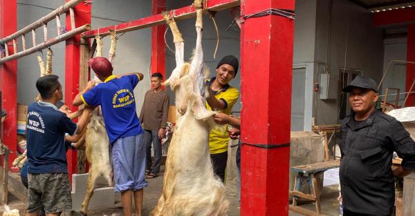 Rutan Banjarnegara Kurbankan 5 Ekor Kambing