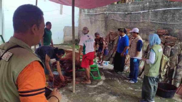 Tim Kesehatan Hewan Kurban Temukan Kasus Cacing Hati di Kota Banjar