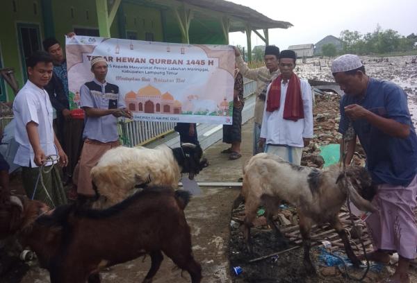 Idul Adha 2024, Regional Jawa Subholding Upstream Pertamina Distribusikan 148 Hewan Qurban