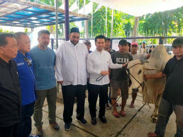 Partai Demokrat Jatim Kurban 7 Sapi dan 8 Kambing, Daging Disebar di Surabaya
