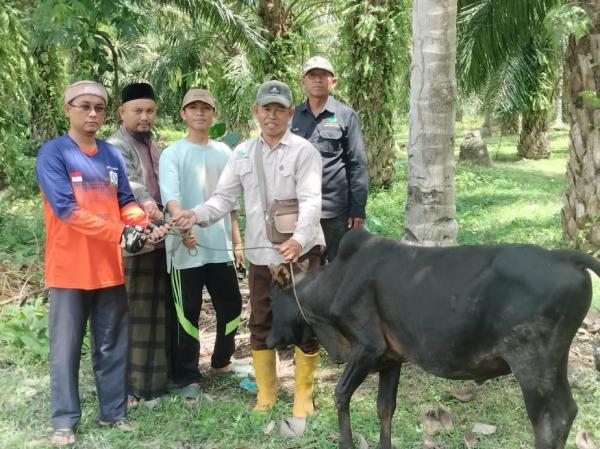 PT Raya Padang Langkat Bagikan Daging Kurban di Aceh dan Sumatera Utara 