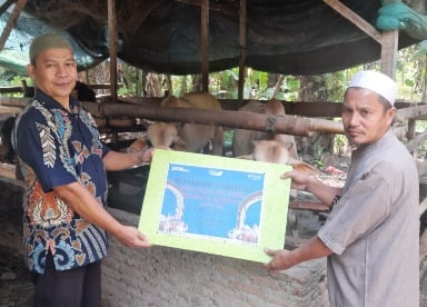 PT Prima Pengembangan Kawasan Menyerahkan Hewan Qurban Di Desa Kuala Tanjung