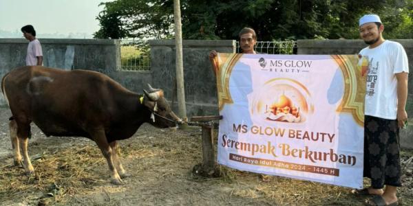 MS GLOW Beauty Tebar Kebaikan dengan Program Serempak Berkurban, 4 Ton Daging Sapi Dibagikan