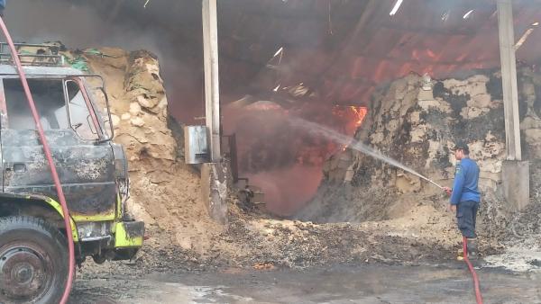 Kebakaran Gudang di Sidoarjo Hanguskan Belasan Ton Bekatul dan Empat Kendaraan