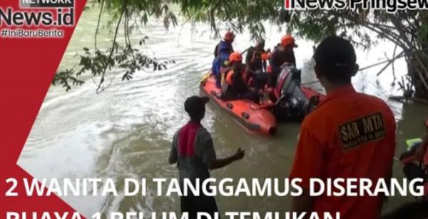 Video Tim Basarnas Mencari Korban tenggelam di serang buaya Way Semaka