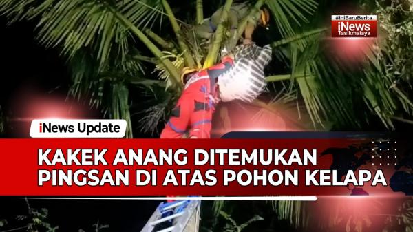 VIDEO: Diduga Kelelahan dan Pingsan, Seorang Pria di Tasikmalaya Ditemukan di Atas Pohon Kelapa