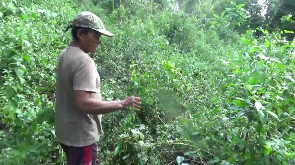 Warga Desa Hutan Buru 2 Pelaku yang Kabur dan Sembunyikan Motor di Hutan