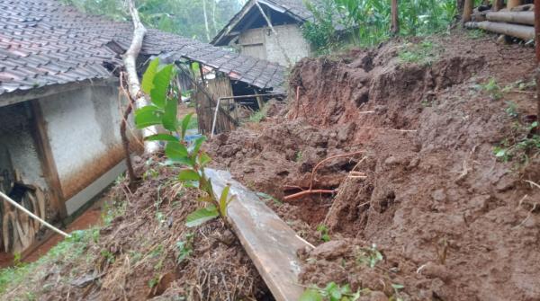 Hujan Deras, Pohon Tumbang Timpa Rumah Warga di Banjarwangi
