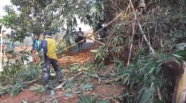 Warga Evakuasi Pohon Tumbang yang Menimpa Badan Jalan di Desa Singasari Tasikmalaya