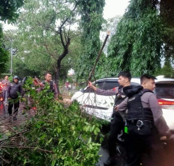 Lalin Macet Imbas Pohon Tumbang di Jalan Juanda Depok Sore Ini