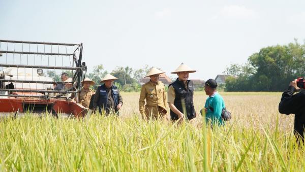 Antisipasi Dampak El-Nino, Pemkab Upayakan Stabilitas Potensi Pertanian di Lamongan