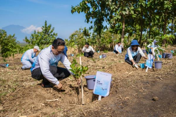 Pelita Air Bersama Pertamina Tanam 10 Ribu Pohon di Jawa Timur