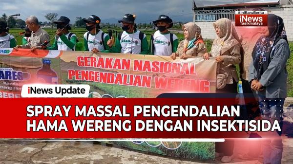 VIDEO: Spray Massal Pengendalian Hama Wereng dengan Insektisida Ares di Tasikmalaya