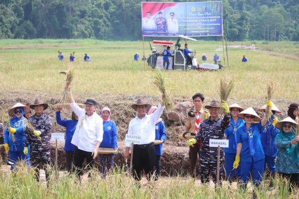 Mentan Amran Kolaborasi KASAL Tanam Padi di Lampung 