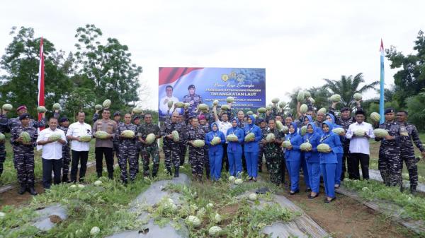 TNI AL Lhokseumawe Panen Semangka: Mendukung Ketahanan Pangan Nasional