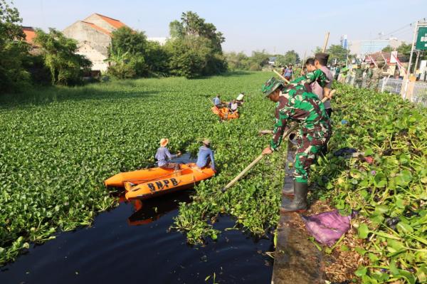 Enceng Gondok Penuhi Sungai Loji, Tim Gabungan Membersihkan