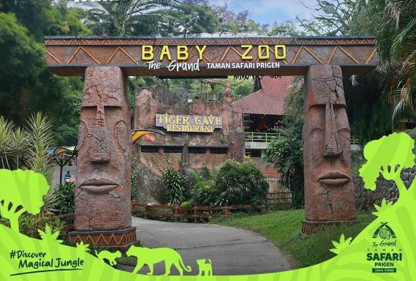 Petualangan Seru di Grand Taman Safari Prigen, Bisa Interaksi Langsung dengan Hewan dari Dekat