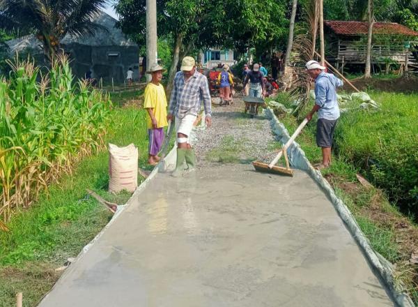 Maksimalkan DD Pemdes Sukapura Cisel Bangun Jalan Rabat Beton Penghubung Antar Kampung