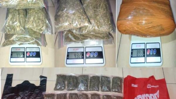 Lagi! Polisi Amankan 1,7 Kg Ganja di Pondok Aren, Tangerang Selatan