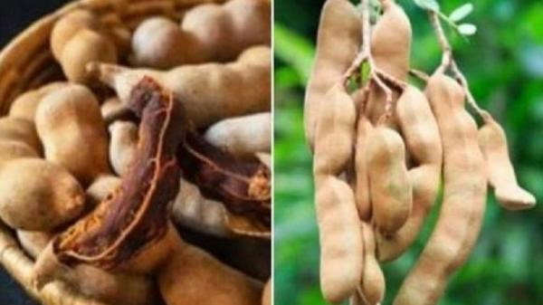 Buah Asam bisa Obati Obesitas, Simak Petunjuknya