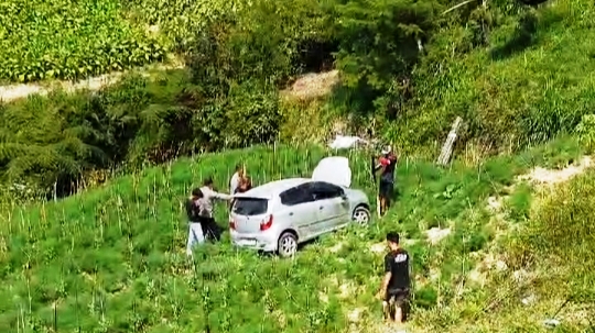 Belum Mahir Mengemudi, Mobil Milik Warga Solo Terjun ke Lahan Pertanian di Boyolali