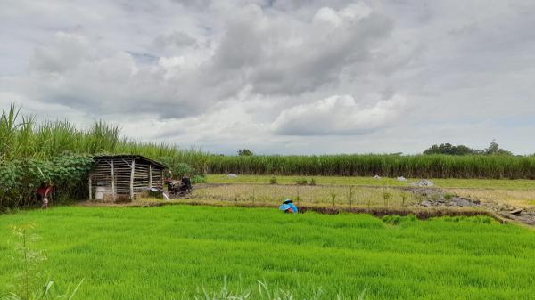 Prakiraan Cuaca Kota Banjar dan Sekitarnya, Jumat 19 Juli 2024: Sepanjang Hari Cerah Berawan  