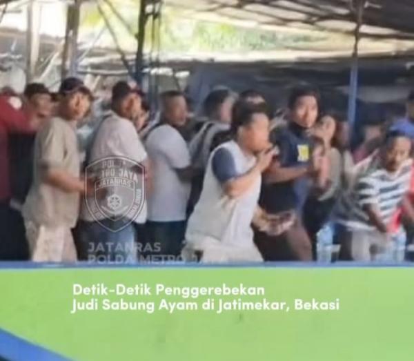 Polda Metro Jaya Gerebek Arena Judi Sabung Ayam di Jatiasih, 70 Orang Diamankan