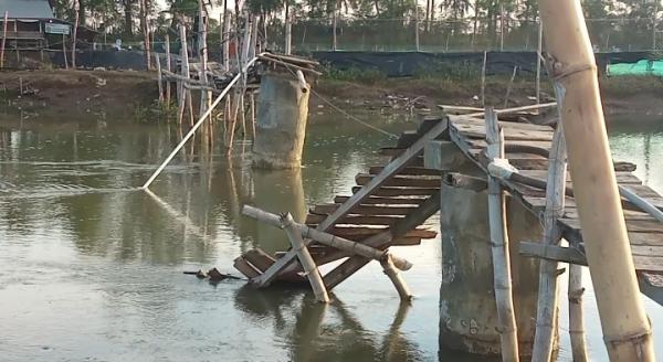 Jembatan Akses Penyebrangan Nelayan dan Petani Tambak Putus Diterjang Air Pasang di Pidie Jaya Aceh