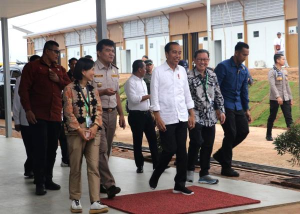 Jokowi Tinjau Instalasi Karantina 1,9 Juta Bibit Tebu Di Merauke