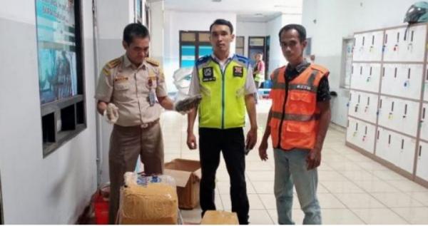 Penyelundupan 61 Kg Teripang asal NTT Digagalkan Petugas Balai Karantina Sulsel