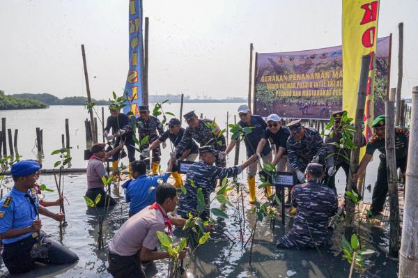 Hari Mangrove Sedunia, Warga Surabaya Gotong Royong Konservasi Bakau Wisata Pesisir Romokalisari