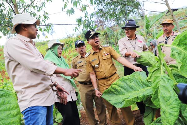 Bupati Bandung Ingatkan Pentingnya Gebyar Perbenihan Tanaman Pangan Nasional IX untuk Pertanian