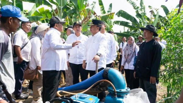 Jaga Ketahanan Pangan, DKPP Pantau Pasokan Air untuk Lahan Pertanian di Indramayu
