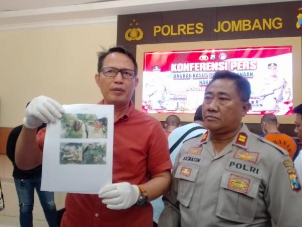 Truk Gandeng Tabrak Motor Gerobak dan Pohon di Jombang, Ternyata Sopirnya Nyabu