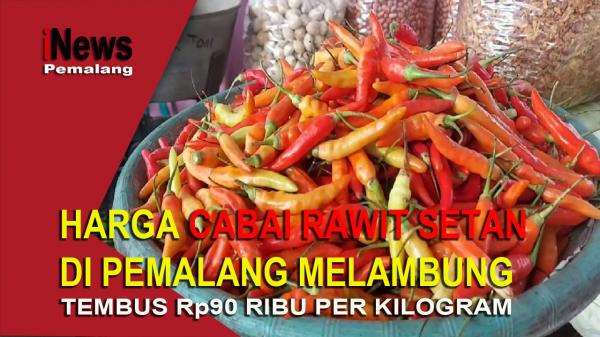 Video: Harga Cabai Rawit Setan di Pemalang Melambung hingga Rp90 Ribu Per Kilogram