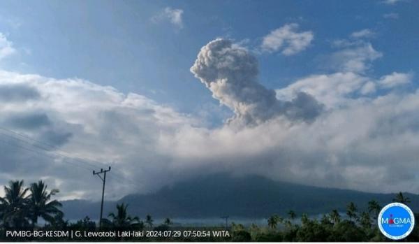 Gunung Lewotobi Laki-laki di Flores Timur Meletus! Ketinggian Kolom Abu Capai 1000 meter