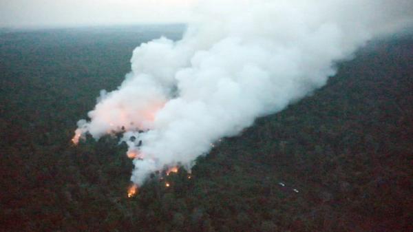 Kebakaran Lahan Milik RTBS, Tim Gabungan Berhasil Kendalikan Api