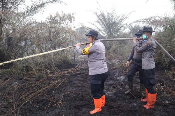 Kapolres Dumai AKBP Dhovan Oktavianton Pimpin Langsung Upaya Pemadaman Kebakaran Hutan dan Lahan