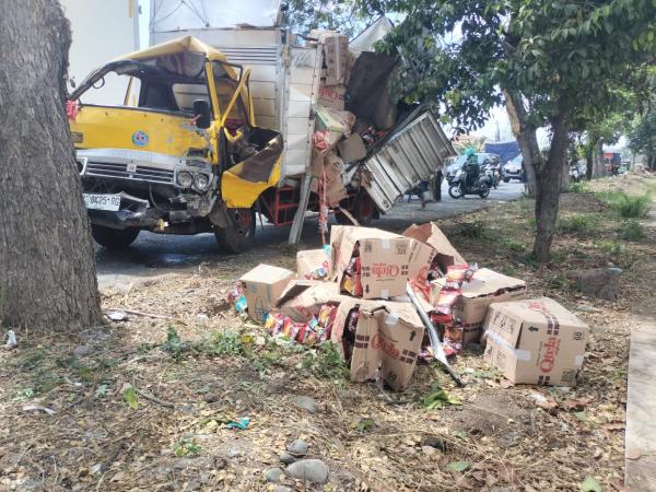 Tersangkut saat Menyalip, Truck Box Tabrak Pohon Hingga Ringsek