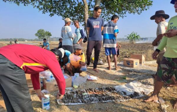 DP 4 Kabupaten Blora Gencarkan Pengendalian Massa Hama Tikus