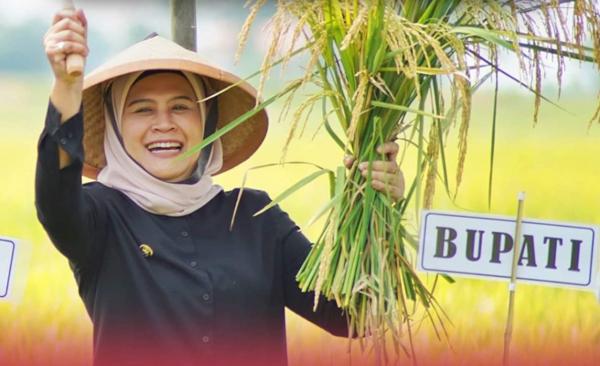 Antisipasi Darurat Pangan, Pemda Indramayu Ubah Tegalan Bata Merah ke Sawah Produktif