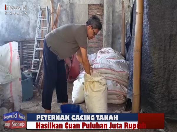 Berawal Ngurus Sampah, Pria di Sidoarjo Hasilkan Cuan Puluhan Juta dari Ternak Cacing